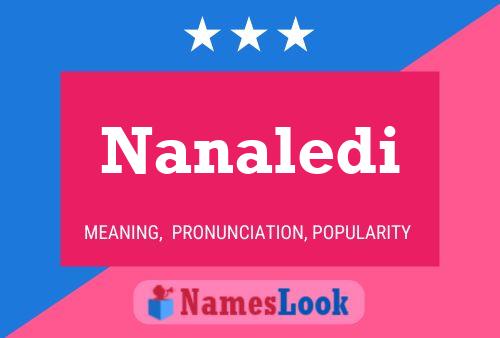 Nanaledi 名字海报