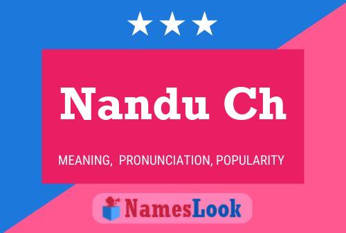 Nandu Ch 名字海报