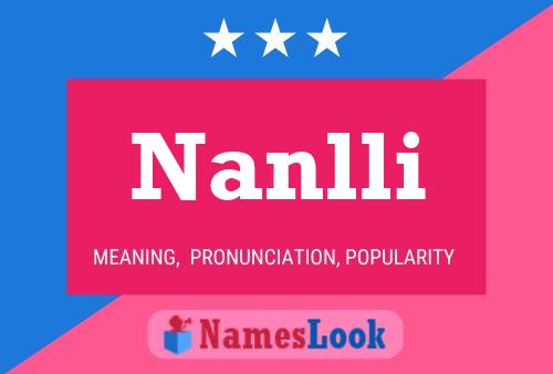 Nanlli 名字海报