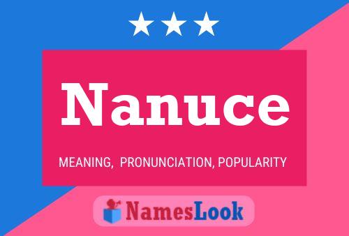 Nanuce 名字海报