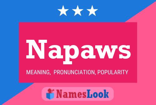 Napaws 名字海报