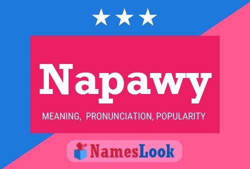 Napawy 名字海报