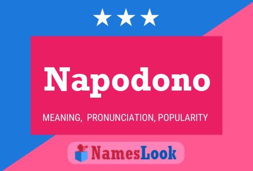 Napodono 名字海报