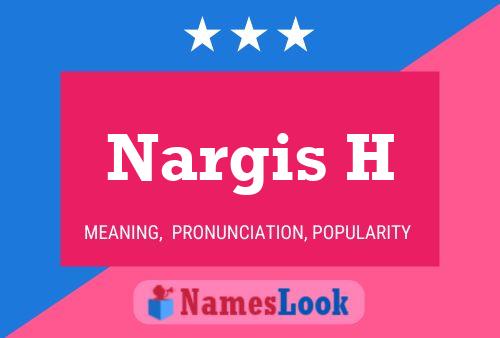 Nargis H 名字海报