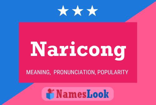 Naricong 名字海报