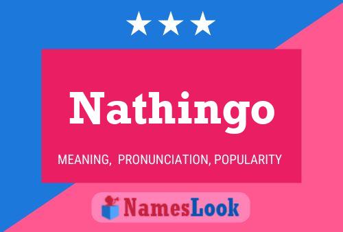 Nathingo 名字海报