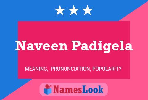 Naveen Padigela 名字海报