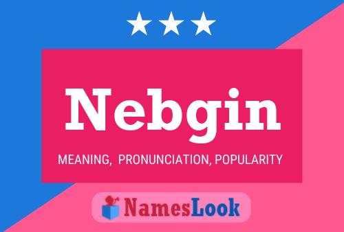 Nebgin 名字海报