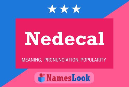 Nedecal 名字海报