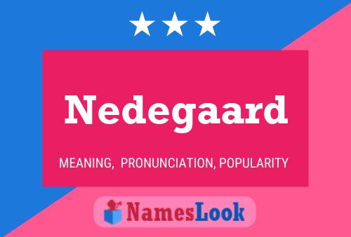 Nedegaard 名字海报