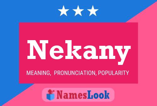 Nekany 名字海报