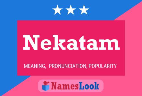 Nekatam 名字海报