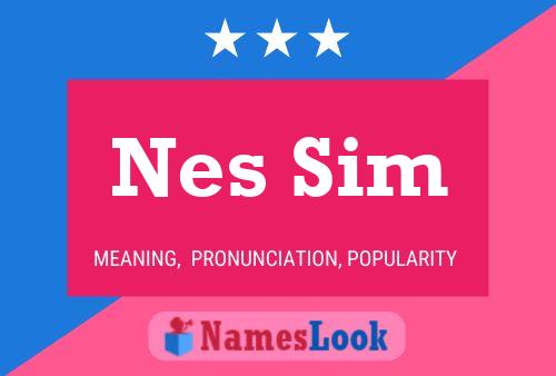 Nes Sim 名字海报