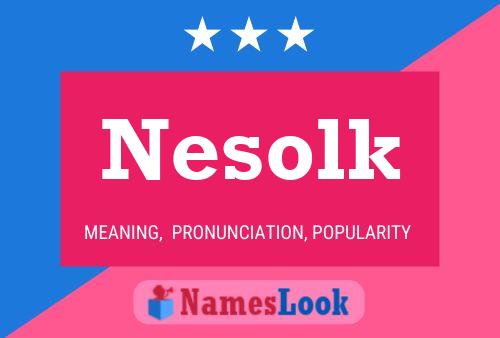 Nesolk 名字海报