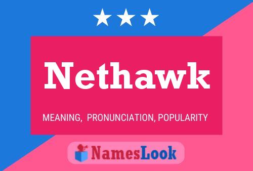 Nethawk 名字海报