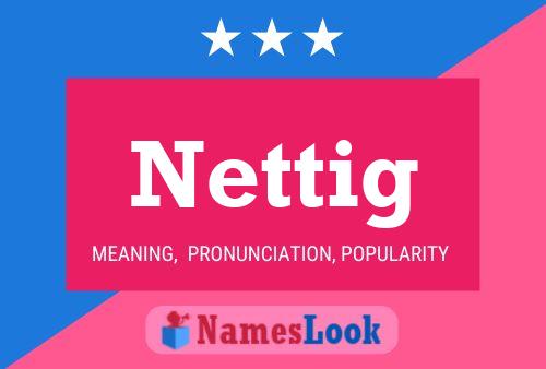 Nettig 名字海报