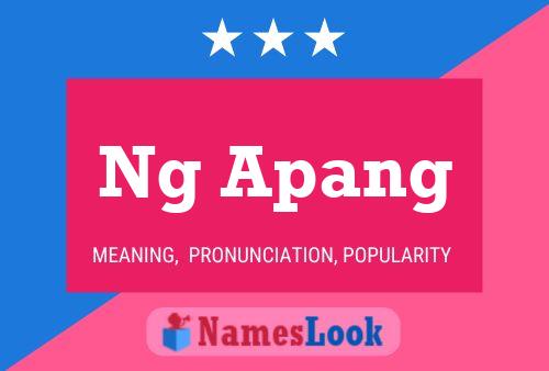 Ng Apang 名字海报