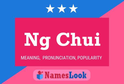 Ng Chui 名字海报