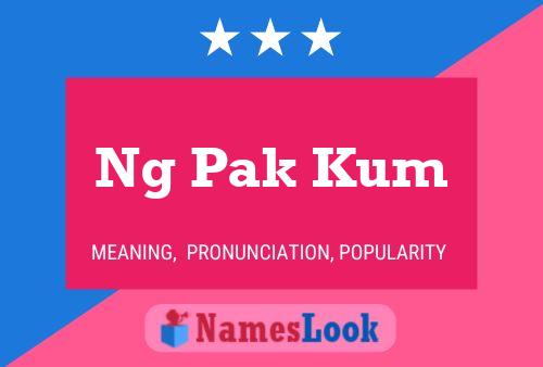 Ng Pak Kum 名字海报