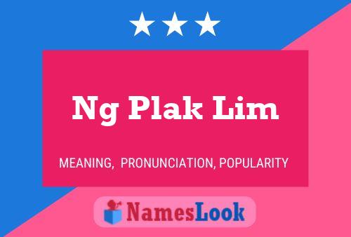 Ng Plak Lim 名字海报