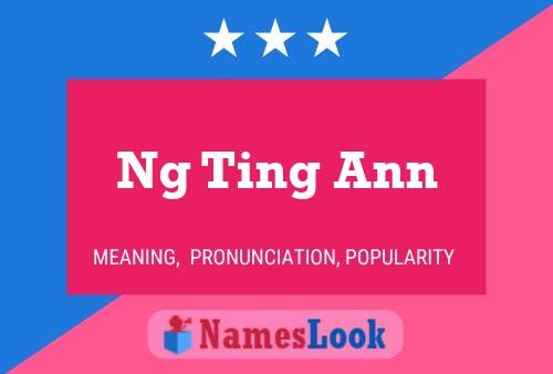 Ng Ting Ann 名字海报