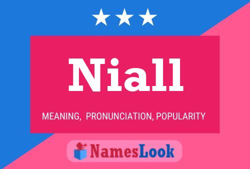 Niall 名字海报