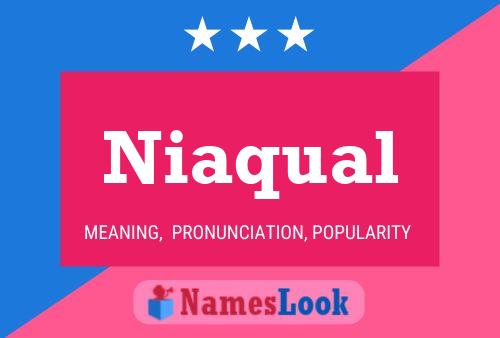 Niaqual 名字海报