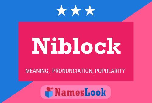 Niblock 名字海报