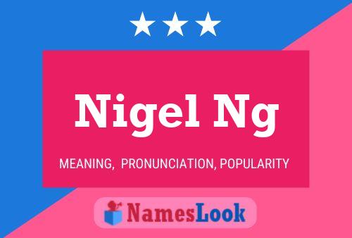 Nigel Ng 名字海报