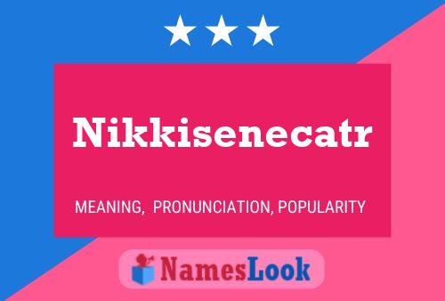 Nikkisenecatr 名字海报