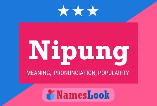 Nipung 名字海报