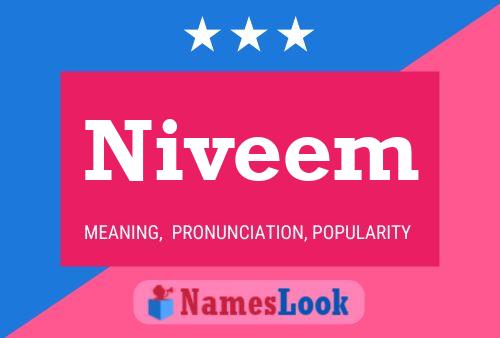 Niveem 名字海报