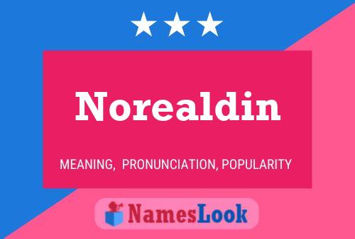 Norealdin 名字海报