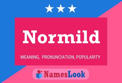 Normild 名字海报