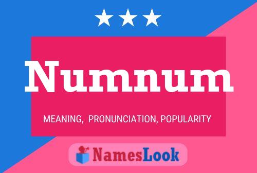 Numnum 名字海报