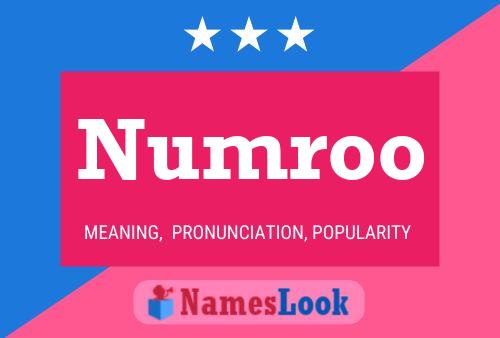 Numroo 名字海报