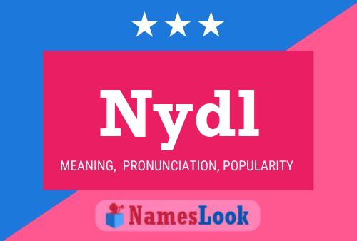 Nydl 名字海报