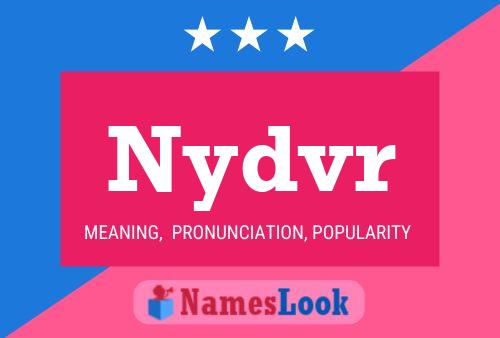 Nydvr 名字海报