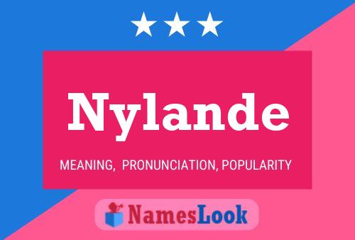 Nylande 名字海报