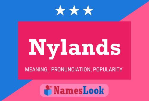 Nylands 名字海报