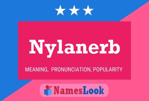 Nylanerb 名字海报