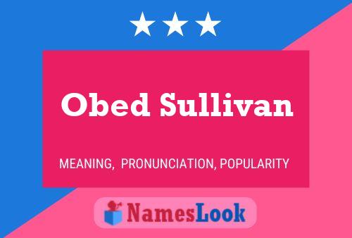 Obed Sullivan 名字海报