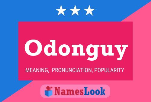 Odonguy 名字海报