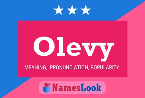 Olevy 名字海报