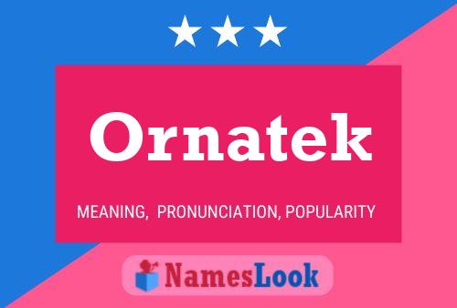 Ornatek 名字海报