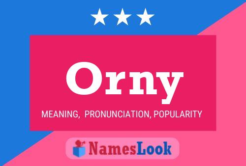 Orny 名字海报