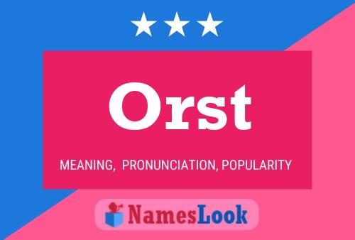 Orst 名字海报