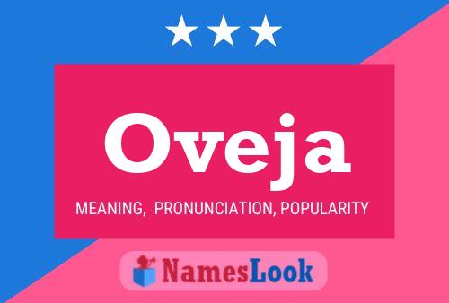 Oveja 名字海报