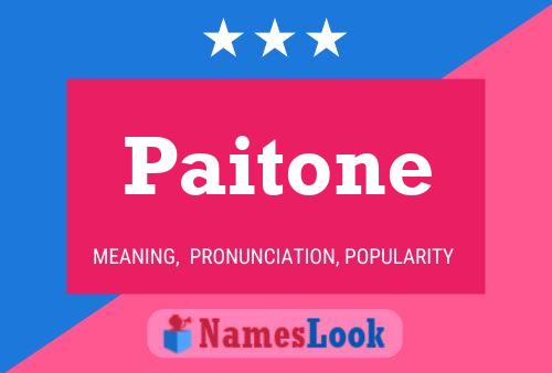 Paitone 名字海报