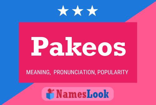 Pakeos 名字海报